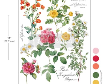 POETRY IN PETALS ~ H2O Water Transfer ~ Redesign with Prima ~ Furniture DiY / Upcycling / Chalk Painting / 1 Sheet! ~Flat Rate Shipping!