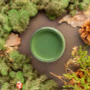 May include: A green round container with a smooth surface, surrounded by green foliage and pine cones.