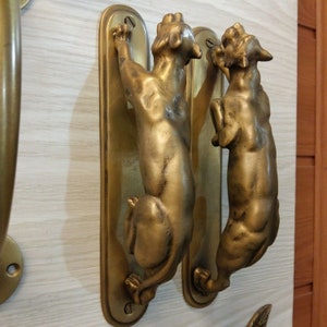 Pull Hand Entry Tiger Brass Vintage Home Decor Living Door Handle image 5