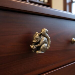 May include: A bronze-colored squirrel-shaped drawer pull. The squirrel is depicted in a seated position, holding a nut. The drawer pull is mounted on a dark brown wooden drawer, with a matching brass knob visible to the right. The background is blurred.