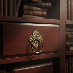 Op de afbeelding: Een donkerhouten boekenkast met laden en planken gevuld met antieke boeken. De laden hebben sierlijke messing ringtrekkers. De boeken zijn in leer gebonden, wat een vintage esthetiek creëert.