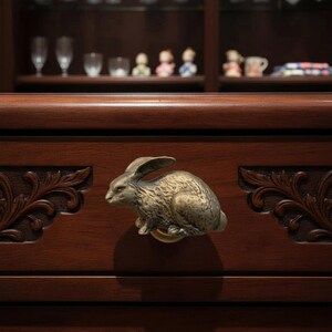 Può includere: Pomello per cassetto a forma di coniglio color bronzo montato su un mobile in legno scuro. L'armadio presenta motivi floreali intagliati sui lati. Lo sfondo mostra una vetrina con vetreria e statuette.