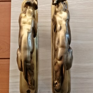 May include: Two gold-toned door handles shaped like stylised animal figures. The handles are mounted on rectangular plates.
