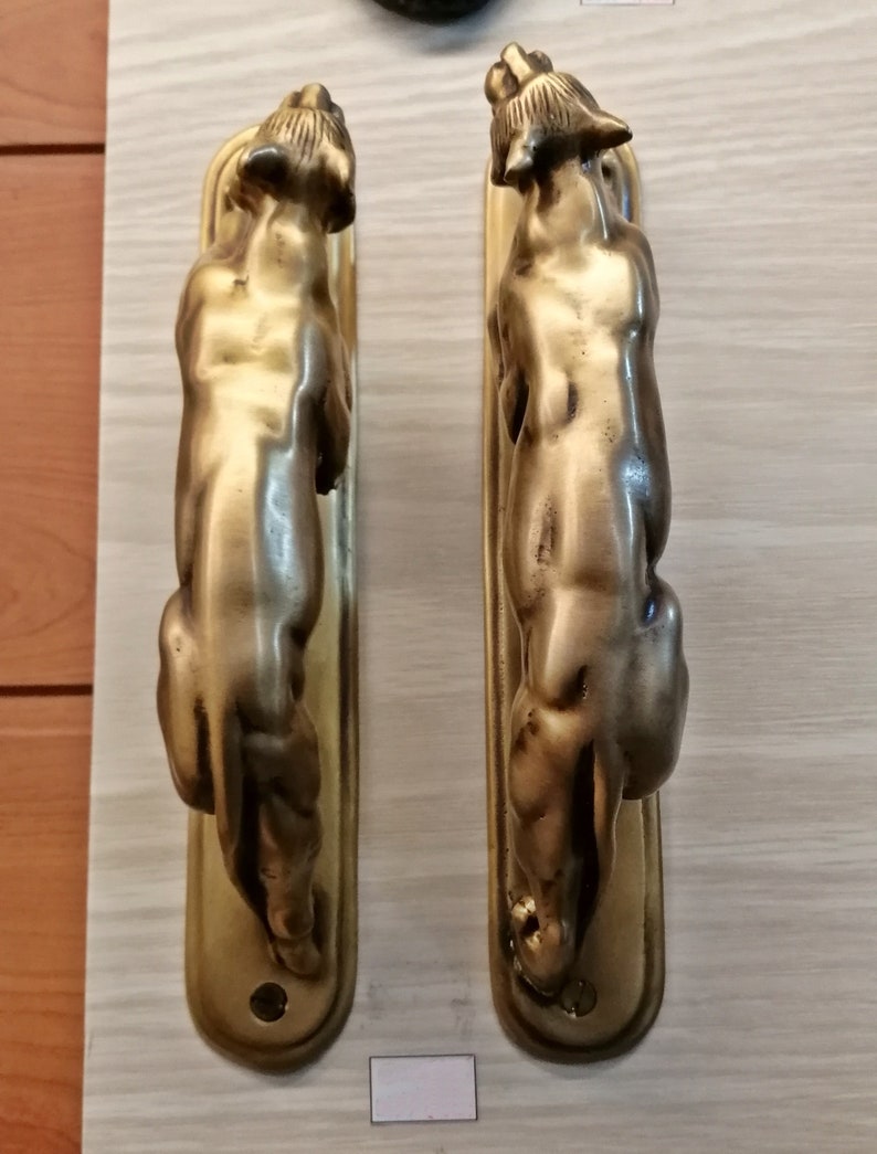 May include: Two gold-toned door handles shaped like stylised animal figures. The handles are mounted on rectangular plates.