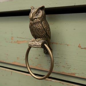 May include: A bronze-colored owl-shaped towel ring mounted on a distressed green cabinet. The owl is perched atop a branch, with a circular ring below for hanging towels. The cabinet has visible wear and tear.