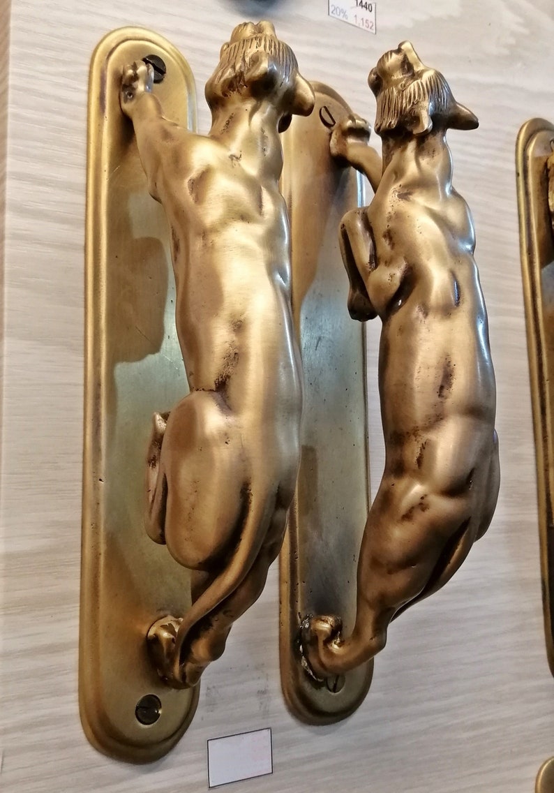 Pull Hand Entry Tiger Brass Vintage Home Decor Living Door Handle image 1