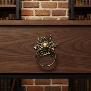 Könnte beinhalten: Nahaufnahme einer Holzschublade mit einem dekorativen Messinggriff. Der Griff ist kreisförmig mit einem verzierten floralen Design. Die Schublade befindet sich vor einer Backsteinmauer und Bücherregalen.