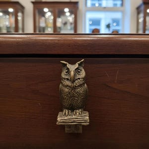 May include: A bronze-colored owl-shaped drawer pull mounted on a dark wooden surface. The owl is perched on a small, detailed base. The pull is a decorative element, adding a touch of nature-inspired design to furniture.