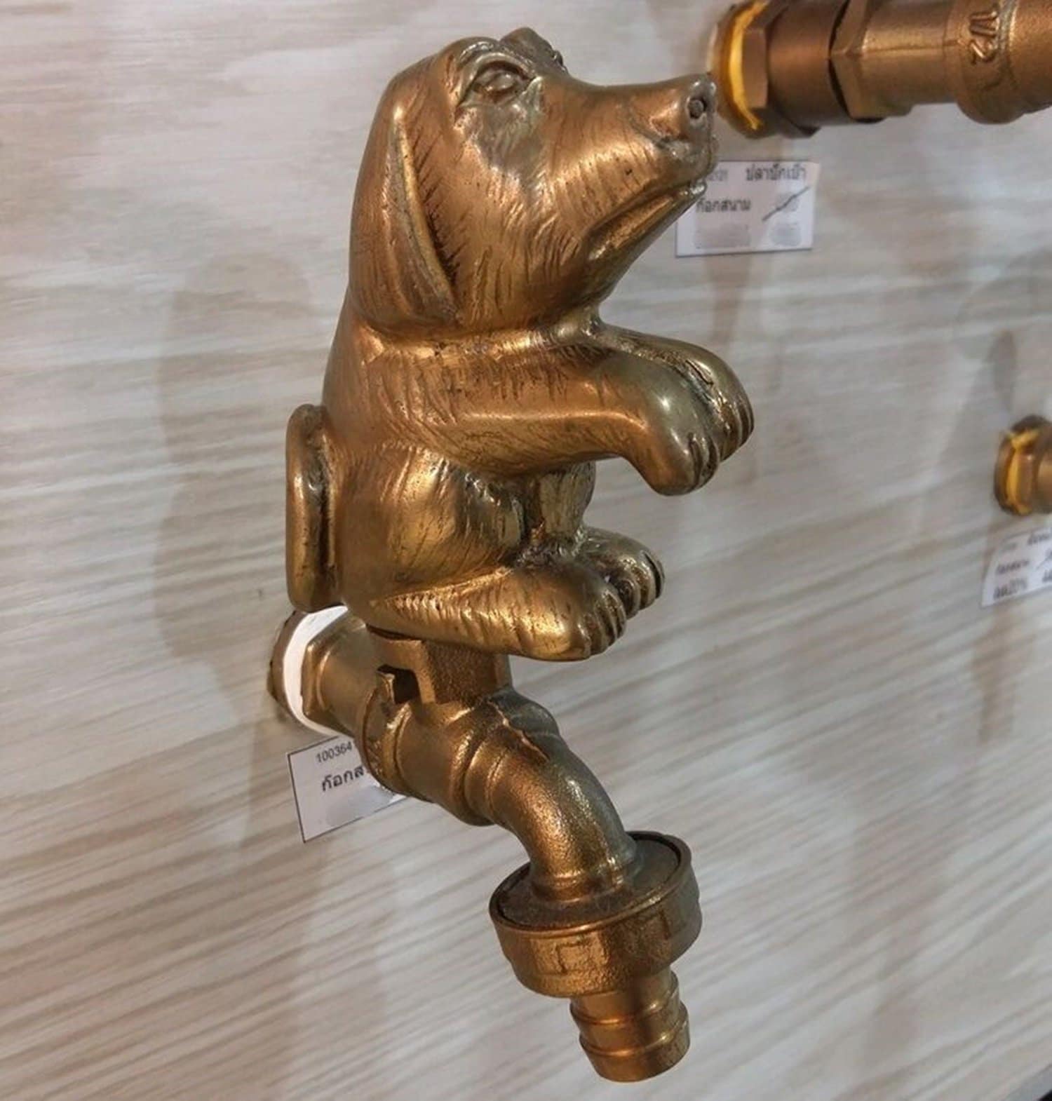 Amazon.com: Garden Outdoor Faucet, Sparrow Animal Handle