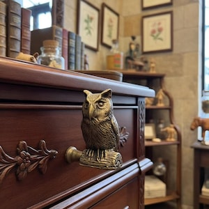 May include: A detailed close-up of a dark brown wooden cabinet with an owl-shaped handle. The owl is perched on a branch, and the cabinet has ornate carvings. The background includes framed botanical prints and antique books.