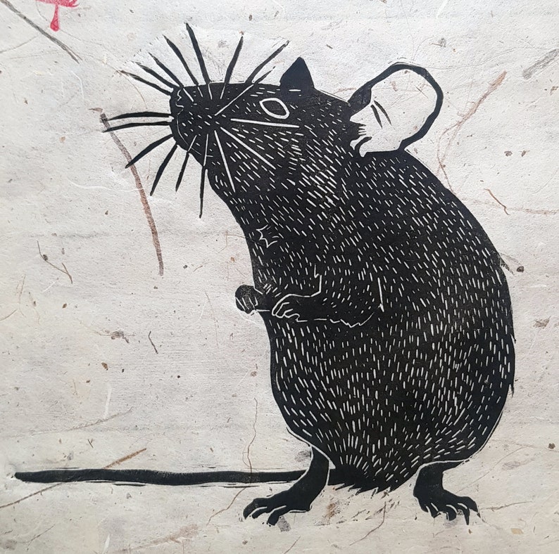 May include: Black and white illustration of a mouse with a long tail and whiskers. The mouse is drawn in a detailed style with a textured fur pattern.