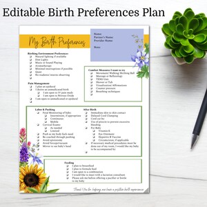 Birth Preference/ Birth Plan Template/ Editable Birth Plan/ Printable/ Custom Birth Plan/ Hospital Birth Plan/ Natural Birth Plan/ Doula