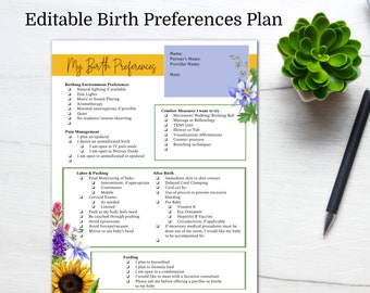 Birth Preference/ Birth Plan Template/ Editable Birth Plan/ Printable/ Custom Birth Plan/ Hospital Birth Plan/ Natural Birth Plan/ Doula