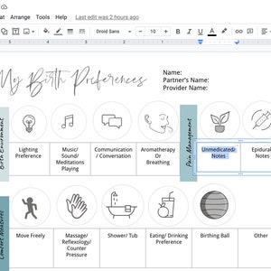 May include: A printable visual birth plan with sections for birth environment, comfort measures, and pain management. The plan includes icons for lighting preferences, music, communication, aromatherapy, unmedicated notes, epidural notes, moving freely, massage, shower, eating and drinking preferences, and birthing ball.