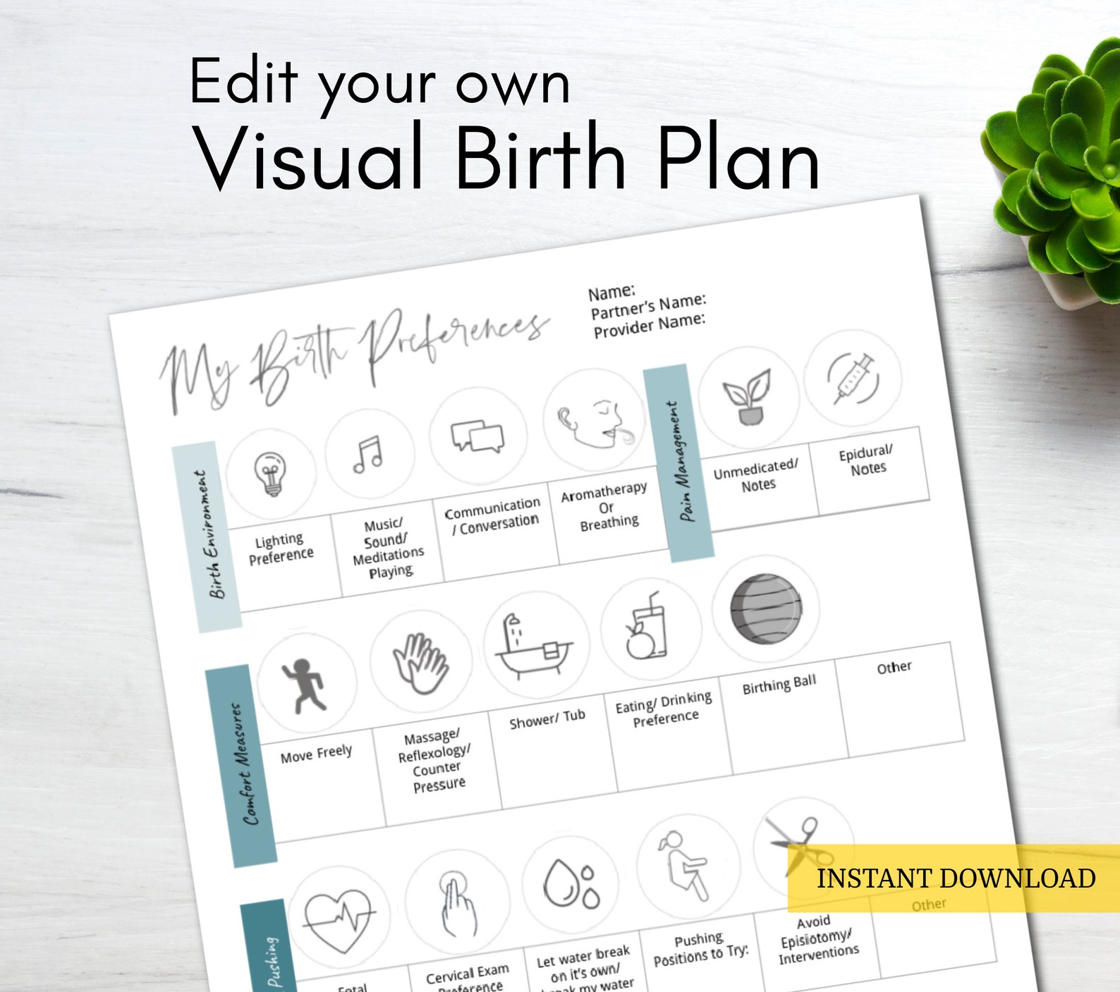 Visual Birth Plan Template