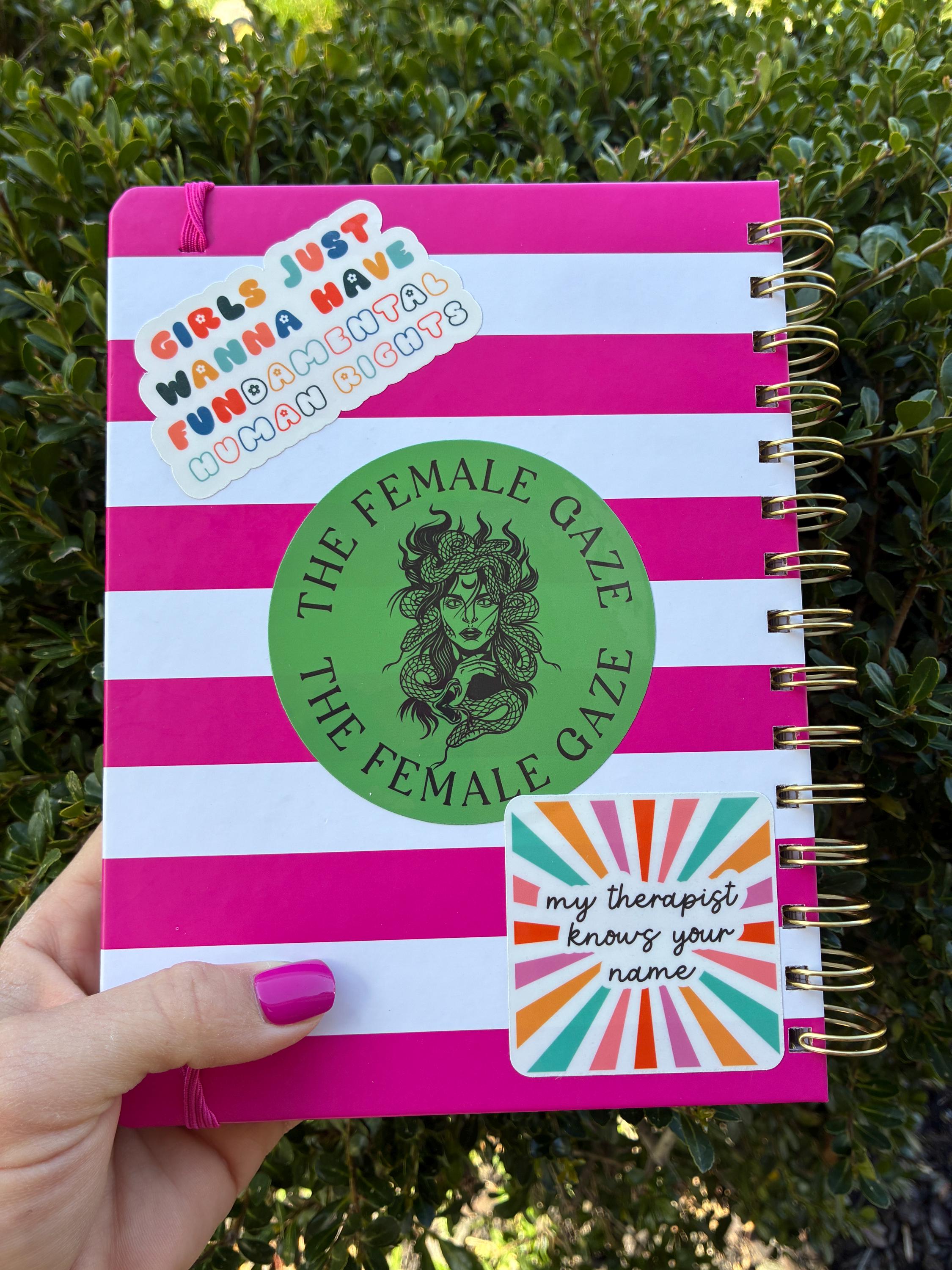 Fundamental Rights Sticker Feminist Sticker, Girls Just Want Fundamental Human Rights Retro Bubble ...