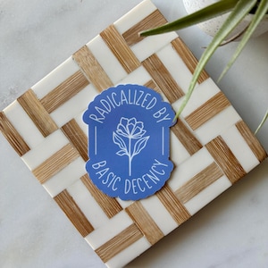 Radicalized by Basic Decency Handmade Sticker White