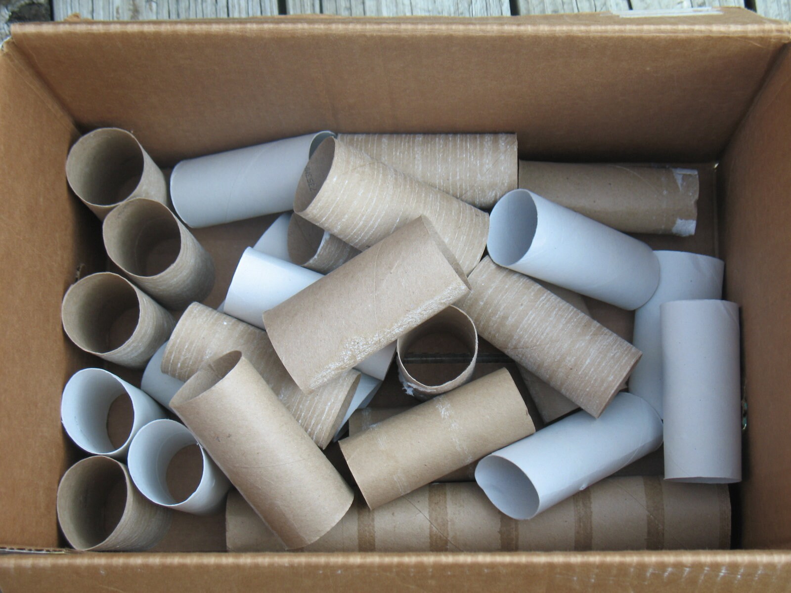 Empty Toilet Paper Rolls, Kids DIY Craft Supply, School Projects (36 ct)