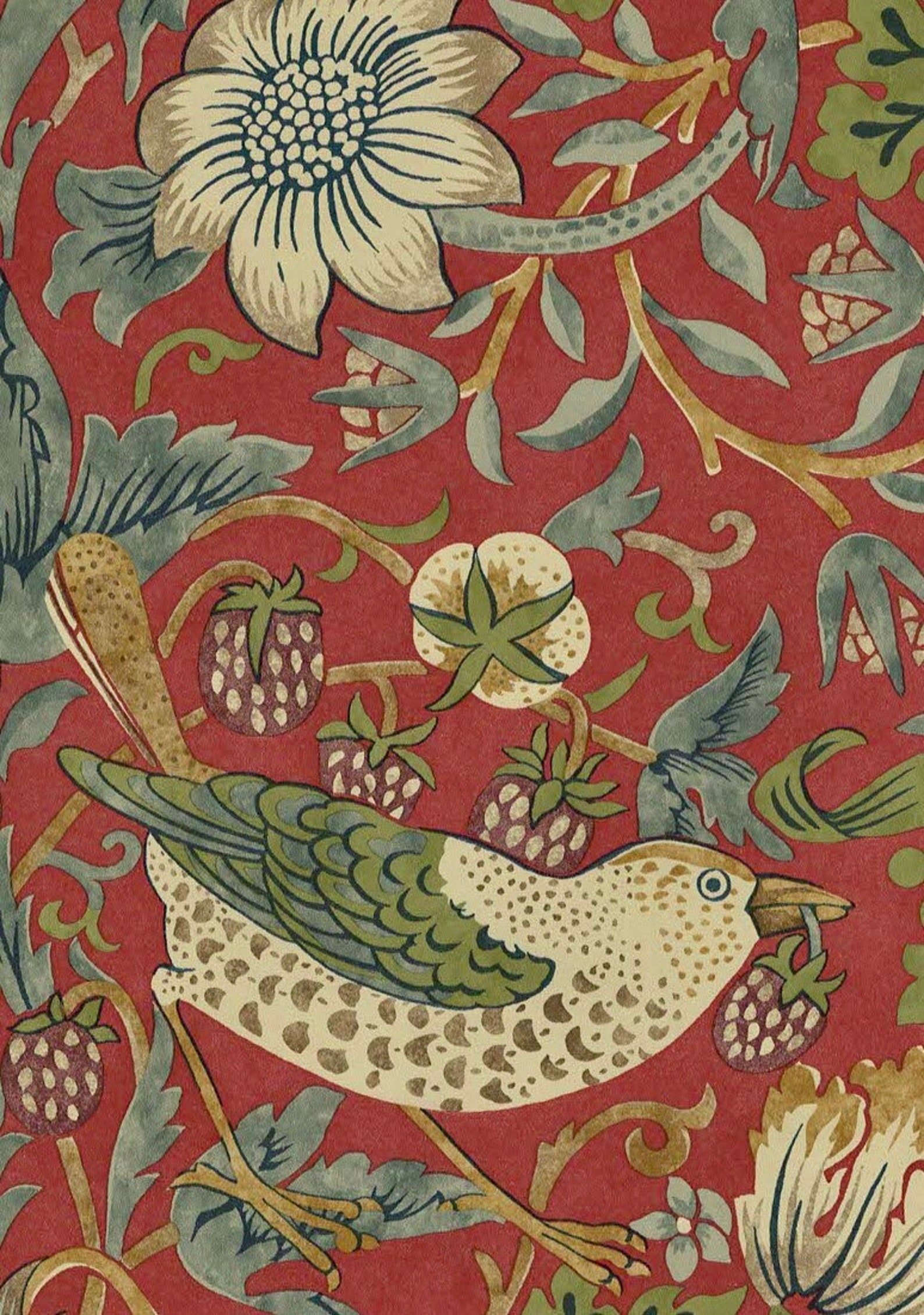 FRAMED Strawberry Thief Print Botanical Art William Morris Etsy UK