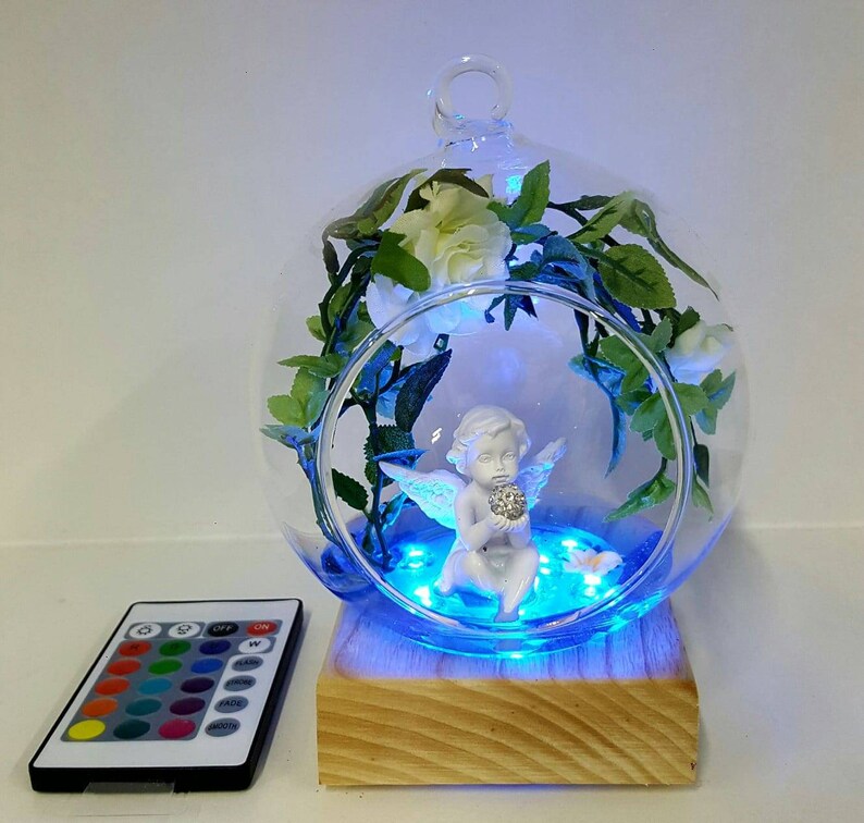 remote control hedgehog