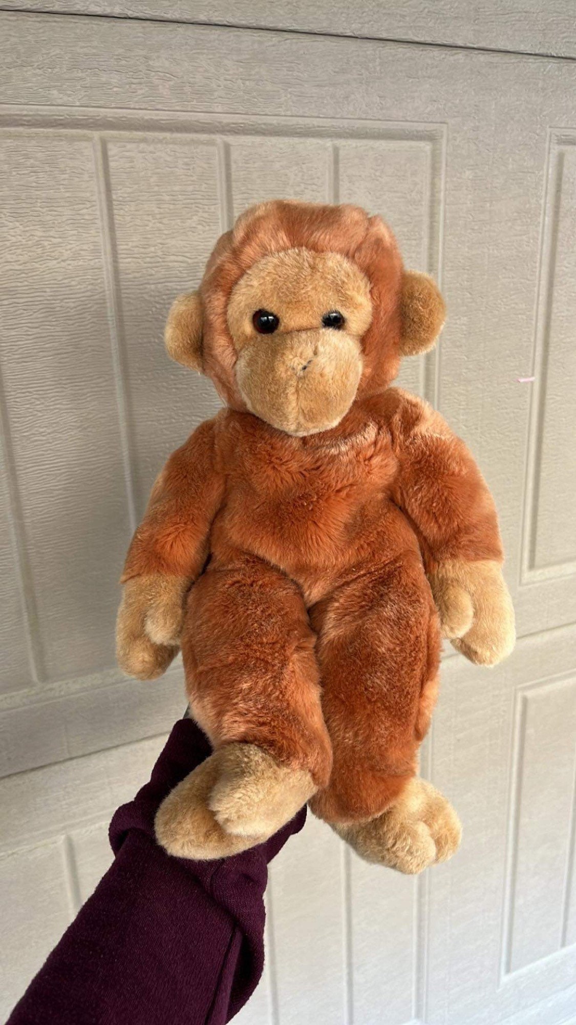 bongo stuffed animal