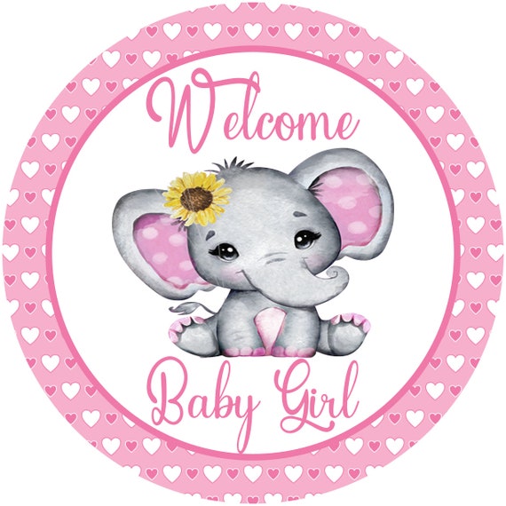 Baby Girl Sign Baby Girl Sign Birth Announcement Etsy