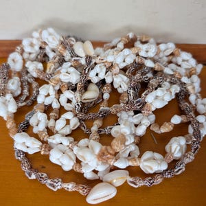 May include: A long necklace composed of numerous small, natural seashells in shades of white, cream, and brown. The shells are strung together in a continuous, multi-layered strand, featuring a mix of smooth cowrie shells and textured spiral shells.