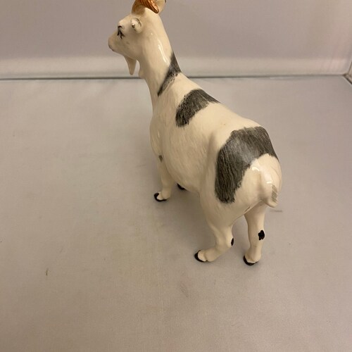 Beswick orders Nigerian Pot Bellied Goat
