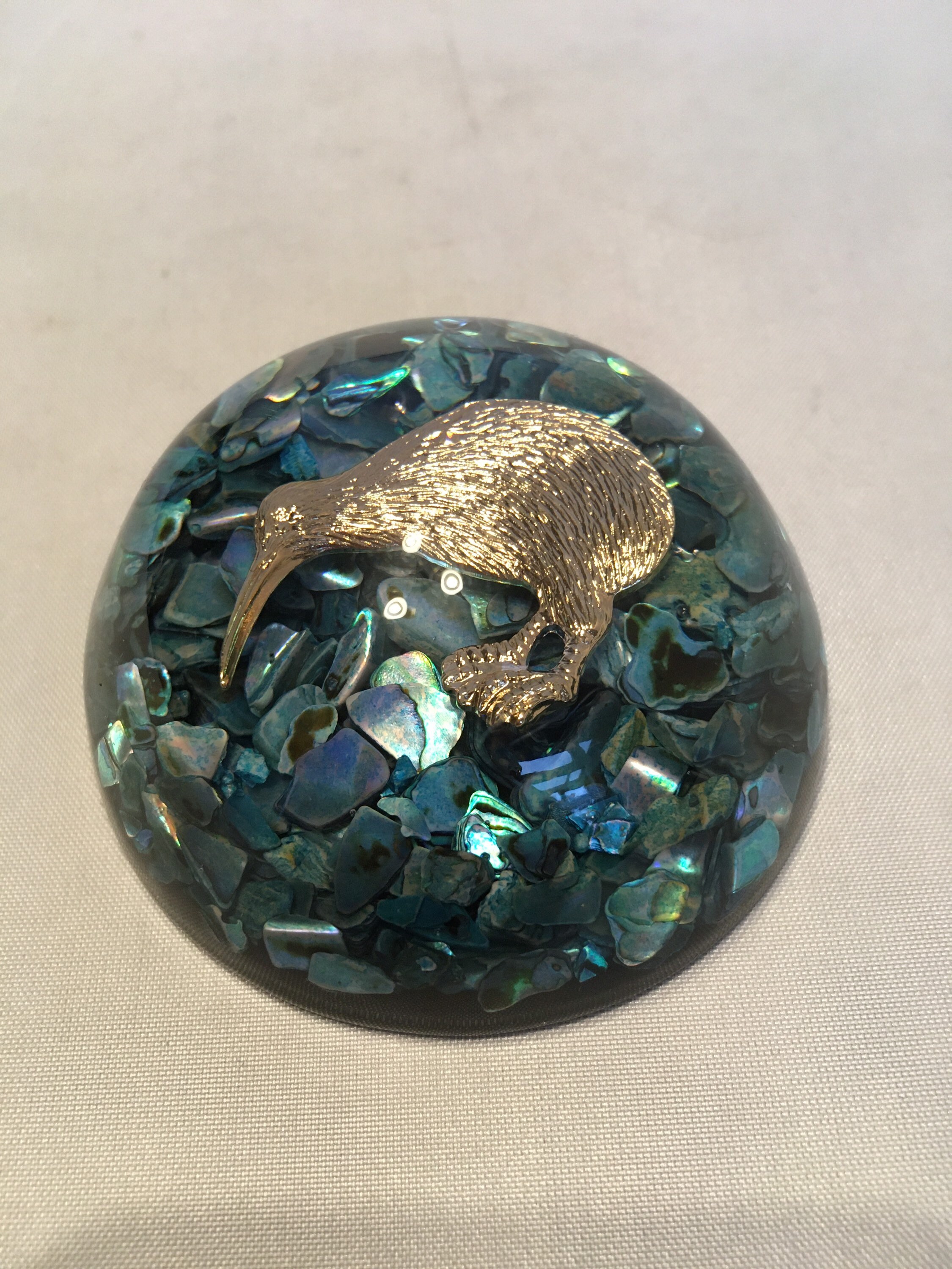 New Zealand Paua Shell Souvenir Kiwi NZ Map Silver Fern Coaters Unused