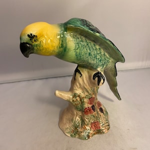 Beswick Green Parakeet