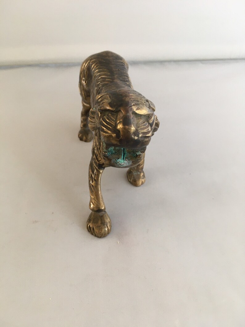 MEDIUM TIGER HOOP WHITE BRASS main image 1