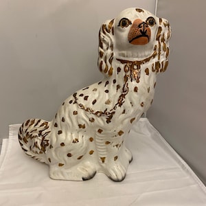 Staffordshire Spaniel