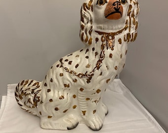 Staffordshire Spaniel