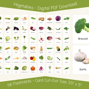 56 Vegetable Flashcards for Toddlers Preschool Montessori Learning Educational Flash Cards