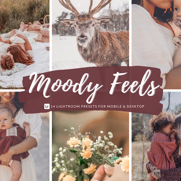 14 Moody Lightroom Presets | Moody, Rich Earthy Preset | Instagram  Insta Presets | Mobile & Desktop Photo Presets | Moody Boho Filter