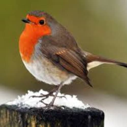 9ct 9k ラージモザイクオパールドロッパーイヤリング - Etsy 日本