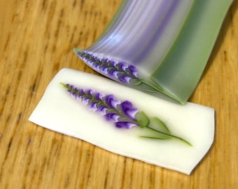 Löwenmäulchen Blumencane