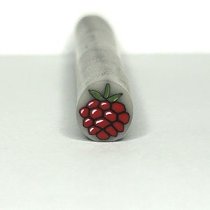 Raw Polymer Clay Raspberry Cane