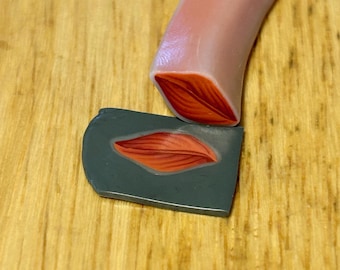 Rohe Polymer Clay Gebrannte Orange Blattcane