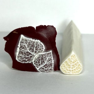 Raw Polymer Clay White Skeletal Aspen Leaf Cane in Translucent
