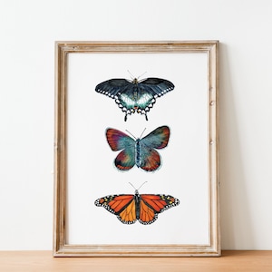 Watercolor Butterfly Wall Art, Butterfly Art Print, Digital Print, Butterfly Printable, Wall Decor, Nursery Art, Colorful Butterfly