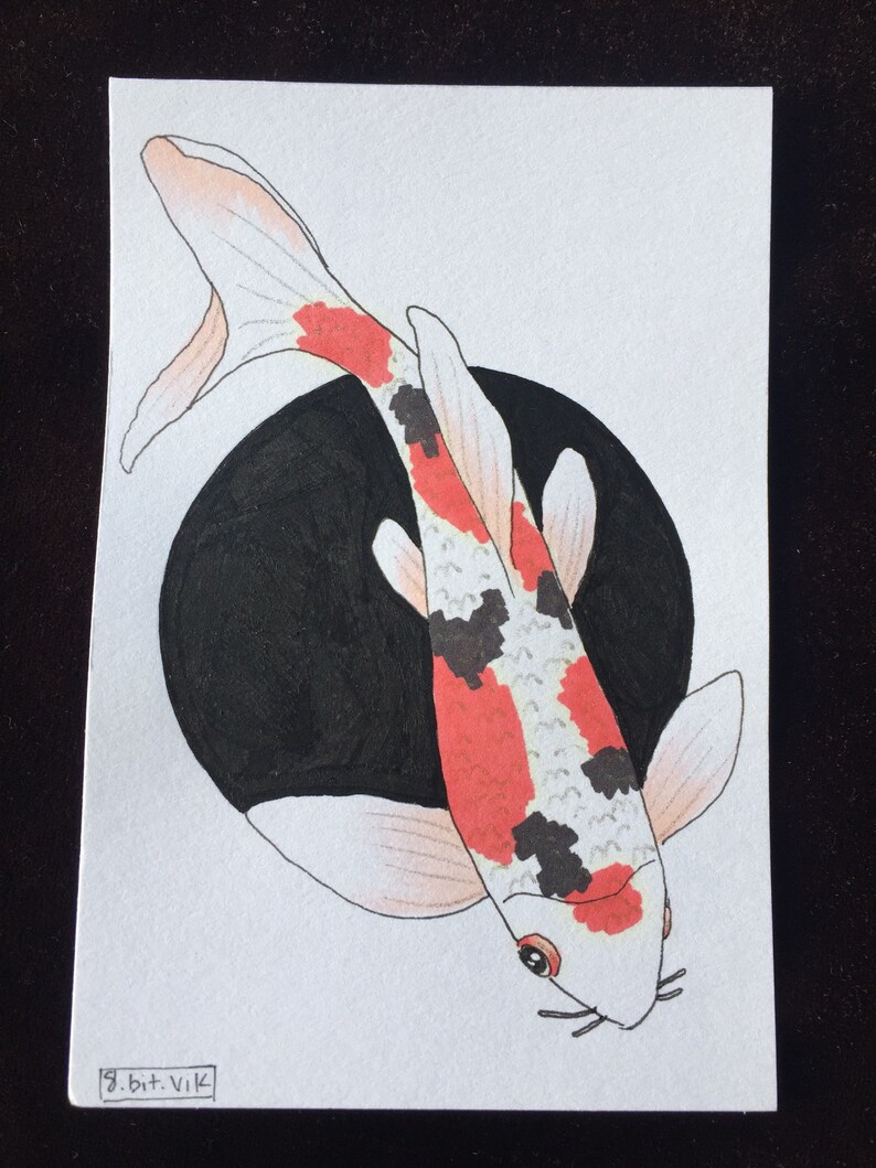 Sanke Koi
