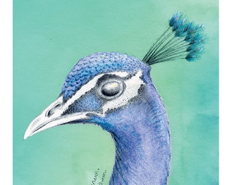 PEACOCK - Glory - 5" x 7" - GICLEE fine art print - without watermark
