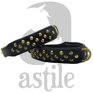 Giant breed collars clearance
