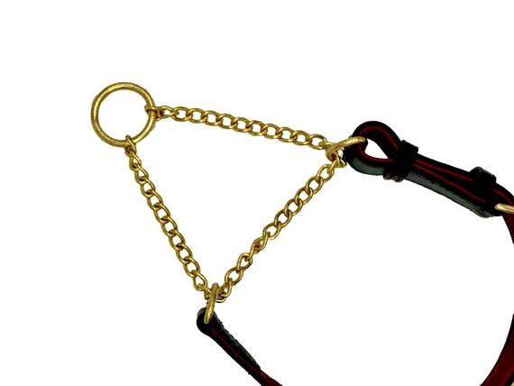 Padded half check store dog collar