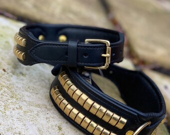 xl bully collars