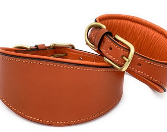padded whippet collars