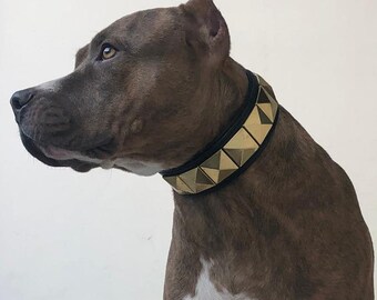 pocket bully collars