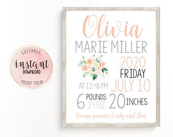 Newborn Birth Information Sign, Newborn Announcement Sign, Editable Newborn Stat Board, Pink & Gold Floral Nursery Decor, Instant Download