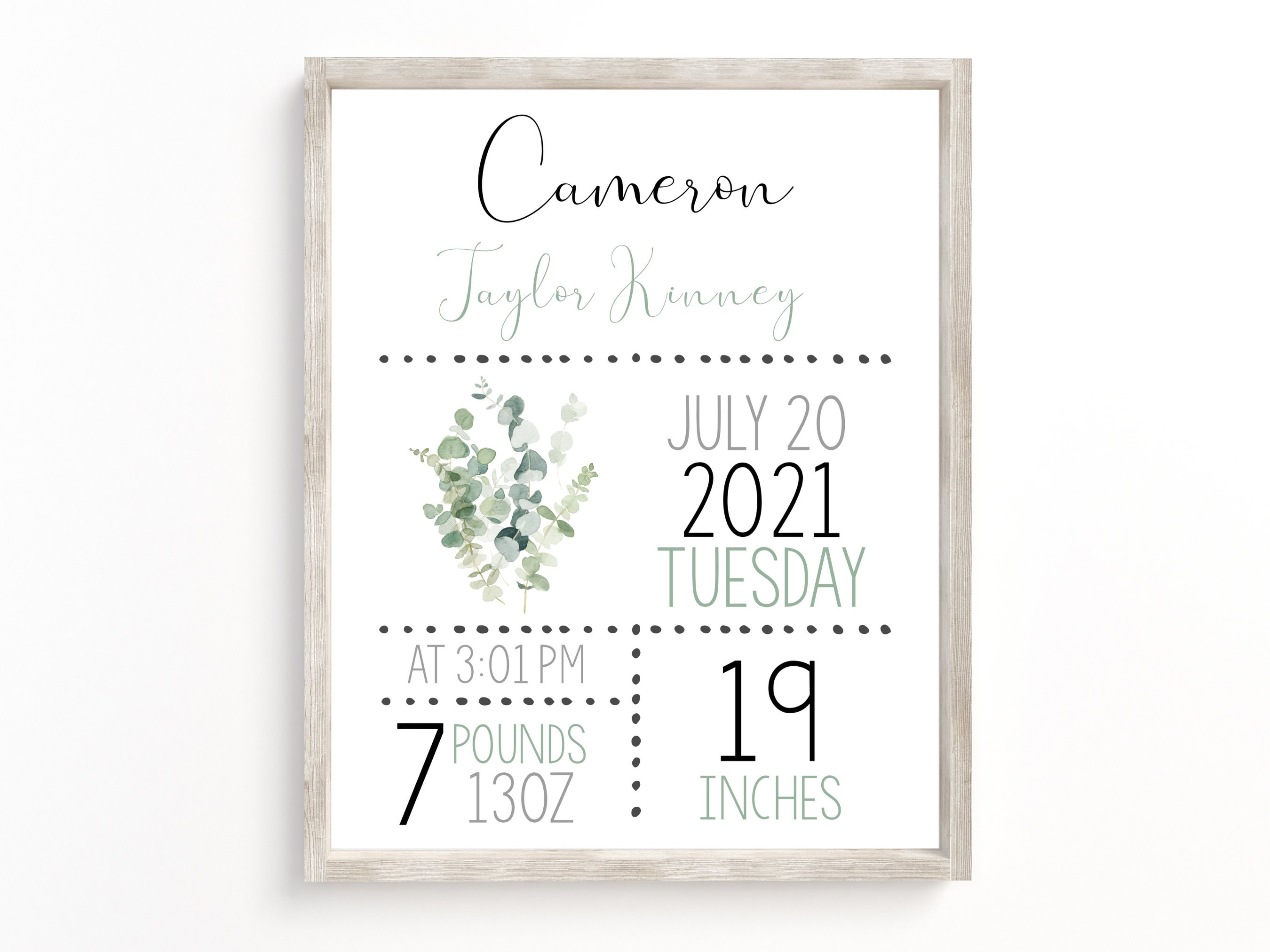 Newborn Birth Information Sign, Eucalyptus Editable Newborn Announcement Sign, Baby Stat Board, Eucalyptus Nursery Decor, Instant Download